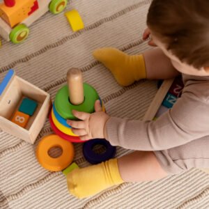 Early Developmental Montessori Toys